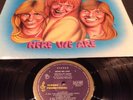 APLP 007 TED MULRY HERE WE ARE  LP RECORD TED MULRY GANG TMG EARLY BLUE ALBERT