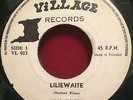 KING FIGHTER - LILIEWAITE / BOW WOW 45 VILLAGE CALYPSO TRINIDAD HEAR IT