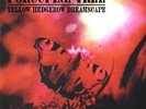 Porcupine Tree Yellow Hedgerow Dreamscape Rare 2 LP COLOR -PROGRESSIVE ROCK