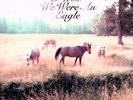 Callahan,Bill - Sometimes I Wish We Were An Eagle (2009, Vinyl NEW)