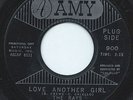 THE RAYS 45RPM '64 AMY LOVE ANOTHER GIRL NORTHERN SOUL PROMO VG+ TO VG++ VINYL