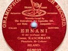 KASHMANN - Ernani: O del verd'anni miei