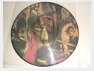 Slayer - Reign In Blood, Picture LP, Limited Edition, 1986 RARE