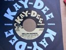 Mellow Madness - Save The Youth (Kay-Dee)