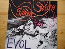 Sonic Youth, Evol, Vinyl LP, Orginal Release