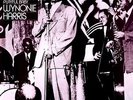 Playful Baby - Wynonie Harris (2011, Vinyl NEW)