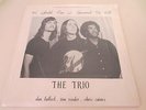 THE TRIO Rare Private Press HS Psych LP Beatles Neil Young David Bowie covers 