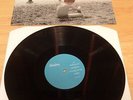 BLUEBOY LP IF WISHES WERE HORSES SARAH RECORDS 612 FRANCE HEAVENLY FIELD MICE NR