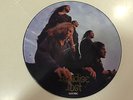 PARADISE LOST -gothic  RARE 1ST ISSUE 1991 PIC DISC LP doom sludge
