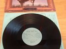 KILLDOZER LP TWELVE POINT BUCK TOUCH & GO + INNER DESCENDENTS MISFITS SAMHAIN NR