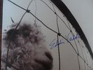 PEARL JAM / Vs. / LP VINYL