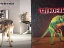 Grinderman 1 And 2 Vinyl Records Nick Cave Only Played Once In Mint Condition