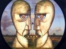 PINK FLOYD - DIVISION BELL - PICTURE DISC  - LP