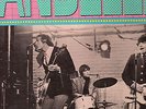 STANDELLS The Best Of LP 60s GARAGE PUNK