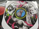 Yeah Yeah Yeahs Fever To Tell vinyl LP pic disc Karen O lp
