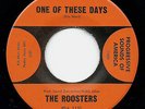 Hear? The Roosters ?– One Of These Days / You Gotta Run 1966 EX Vinyl 7