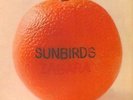 SUNBIRDS - Zagara - LP 1972 Garden Of Delights