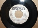 Garage Surf Rock 45 STATESMEN *Roo-Buh-Doo-Buh-Doo* TEEN THEME on RAYNARD 014 DJ
