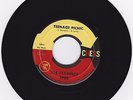 Rockabilly/DooWop 45 Joe Stampley 