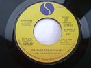 RAMONES /  WE WANT THE AIRWAVES  - SIRE USA PROMO 7