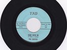 The EXOTICS Come With Me 1966 Texas organ garage punk HEAR