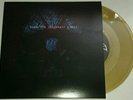 2x Slayer 1x Vinyl Gold When the stillness comes + 1x Repentless Blue Vinyl