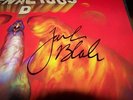 Tenacious D Rize of the Fenix Vinyl LP Autographed by Jack Black & Kyle Gass