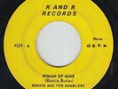 70s Soul 45 - Ronnie & the Ramblers - Woman Of Mine - R&R - mp3