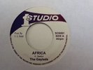 The Gaylads - Africa / Love Me With All...7