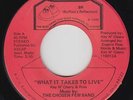 Modern Soul 45 - Chosen Few Band - What It Takes To Live - BR - VG+ mp3 - rare