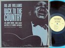 Big Joe Williams ORIG US LP Back to the country NM ’64 Testament T2205 Blues