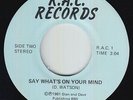 Modern Soul 45 - D. Watson - Say What's On Your Mind - R.A.C. - VG+ mp3