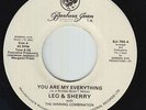 Modern Soul Boogie 45 - Leo & Sherry - My Everything - Barbara Jean - VG++ rare