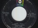 Northern Soul 45 - Bobby Rush - Camel Walk/Gotta Have Money - ABC - mp3