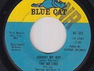 Northern Soul 45 - Ad Libs - Johnny My Boy - Blue Cat - VG+ mp3