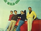 THE WILD ONES / Album  Japan Garage Psych Fuzz RARE 1967 ORIG LP POKOR CP-8157
