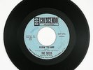SEEDS Pushin Too Hard/Try To Understand 7IN 1966 (PUNK/GARAGE) VG+ LISTEN