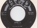 DJ. AND THE CATS-jeanie 16    US.HEP 2100      MINNESOTA TEEN ROCK