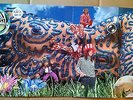 JELLYFISH Bellybutton*PROMO*EX*1990*FAULKNER*Edd Kross*VINYL*RECORD*