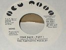 NORTHERN GROUP SOUL Fantastic Puzzles Come back 45 New Moon dj Mono Stereo NM-