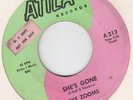EYE ZOOMS-she´s gone  US.ATILA 213           1966 GARAGE