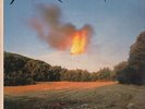 Tuxedomoon Holy Wars Cramboy Vinyl LP