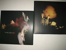 2 Pearl Jam LPs Riot Act and Live on Two Legs Mint Ten Club RARE Vinyl Vedder