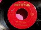 THE NOTATIONS - I'm Still Here - Northern. Soul 45 rpm - NITIA 100 - Rare 1st?