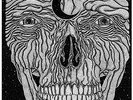 CALL OF THE VOID - AGELESS NEW VINYL