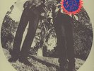 Ty Segall & White Fence - Hair Vinyl US LP
