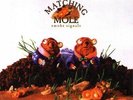 MATCHING MOLE Smoke signals (1972) Robert Wyatt LIVE NEU