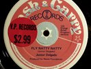 * JUNIOR DELGADO Fly Natty Natty RARE ROOTS DUB KILLER Cash & Carry 12