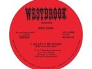 MIKE DUNN So Let It Be House 12