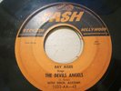 R&B Mod 45 RAY AGEE the devils angels CASH listen